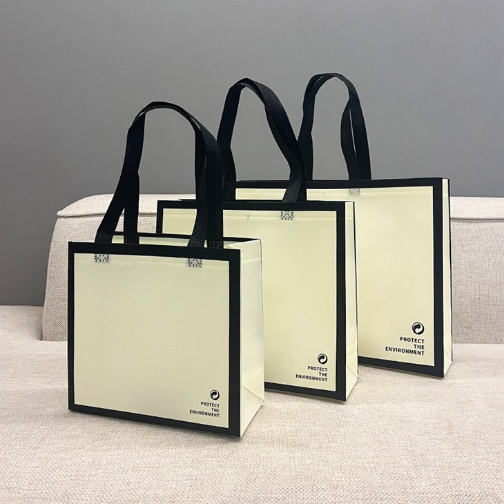 Non Woven Laminated Gift Bags factory